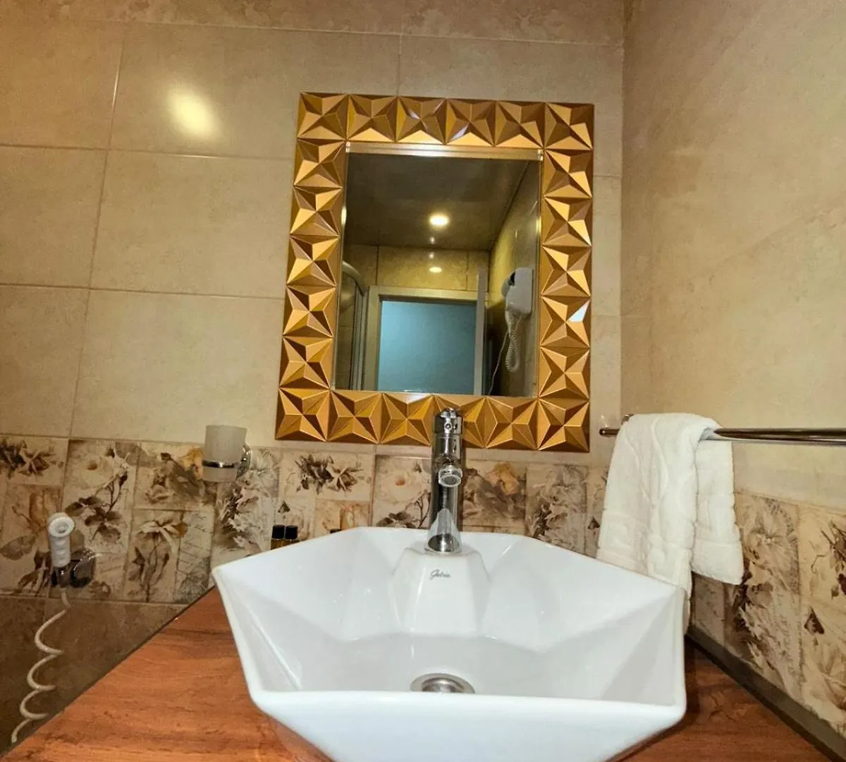 Hotel Gold Town Tiflisi グルジア